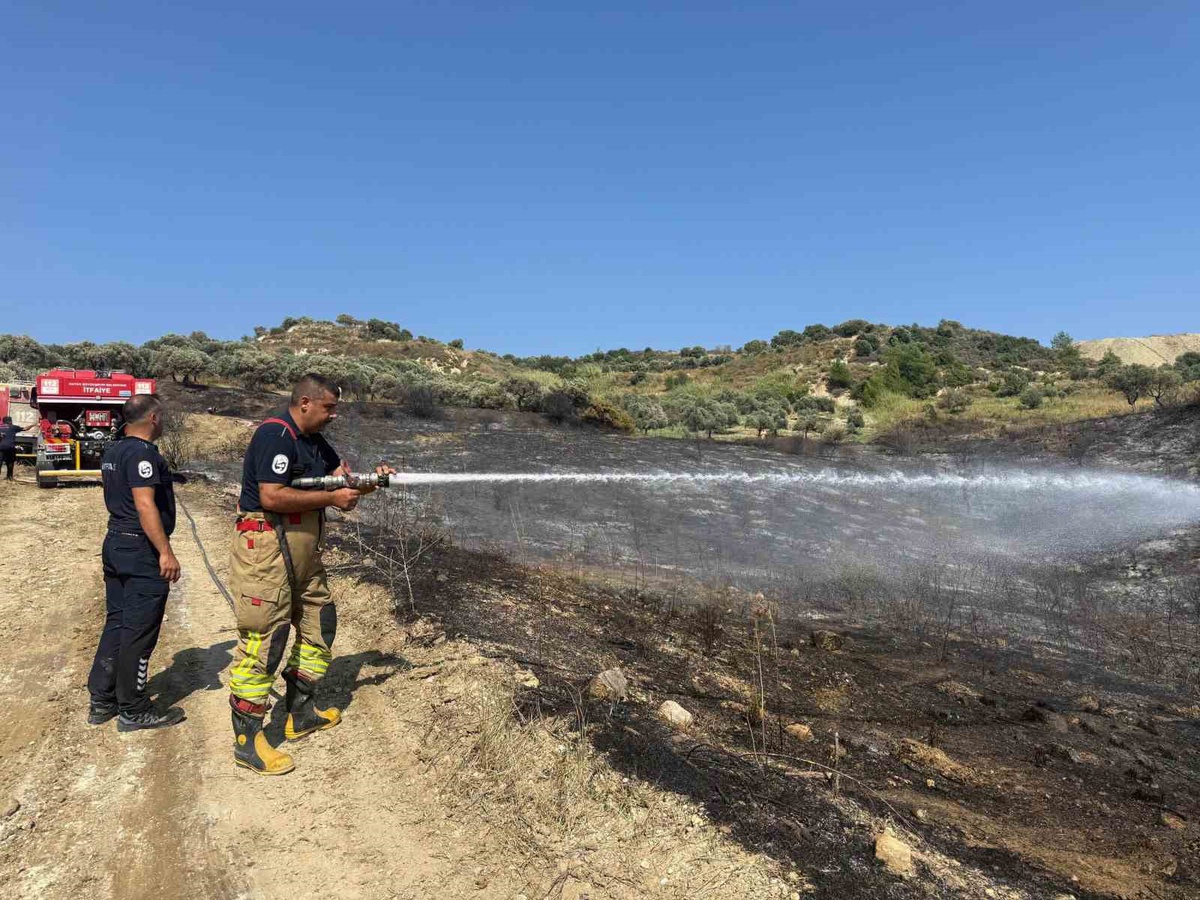 Hatay'ın Antakya ilçesinde zeytinlik yangını evlere sıçramadan söndürüldü, zarar gören alan kamerada