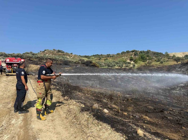 Hatay'ın Antakya ilçesinde zeytinlik yangını evlere sıçramadan söndürüldü, zarar gören alan kamerada