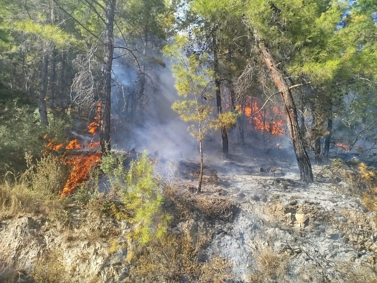 Antalya Manavgat'ta orman yangınına 6 helikopter ve 2 uçakla müdahale sürüyor