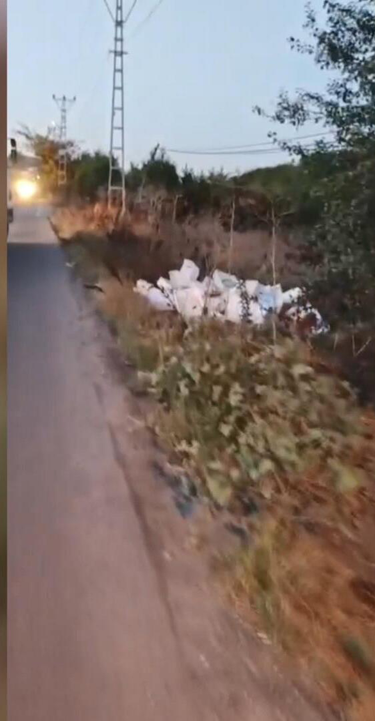 Arnavutköy'de çayırlık alana bozuk balık döken sürücüye 40 bin lira ceza kesildi
