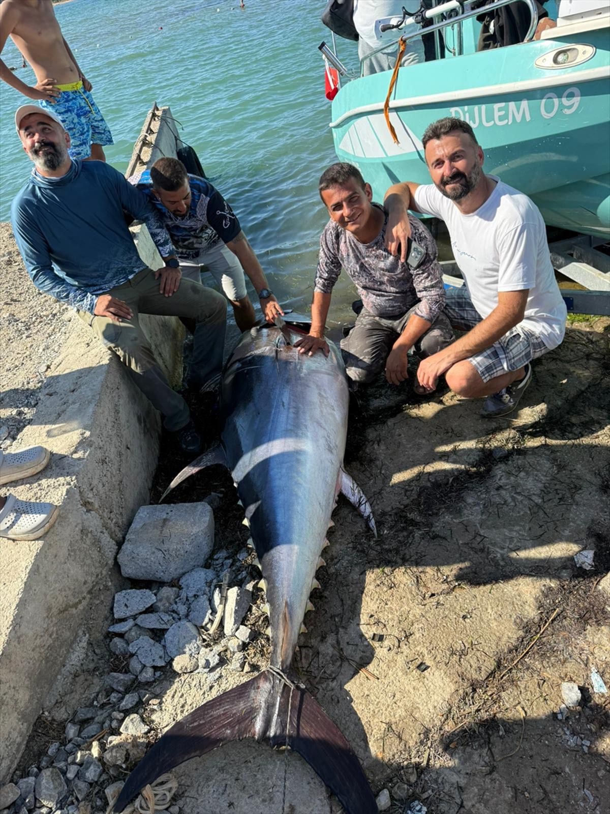 Didim\'de amatör balıkçılar 2,30 metre boyunda ve 260 kilo orkinos avladı