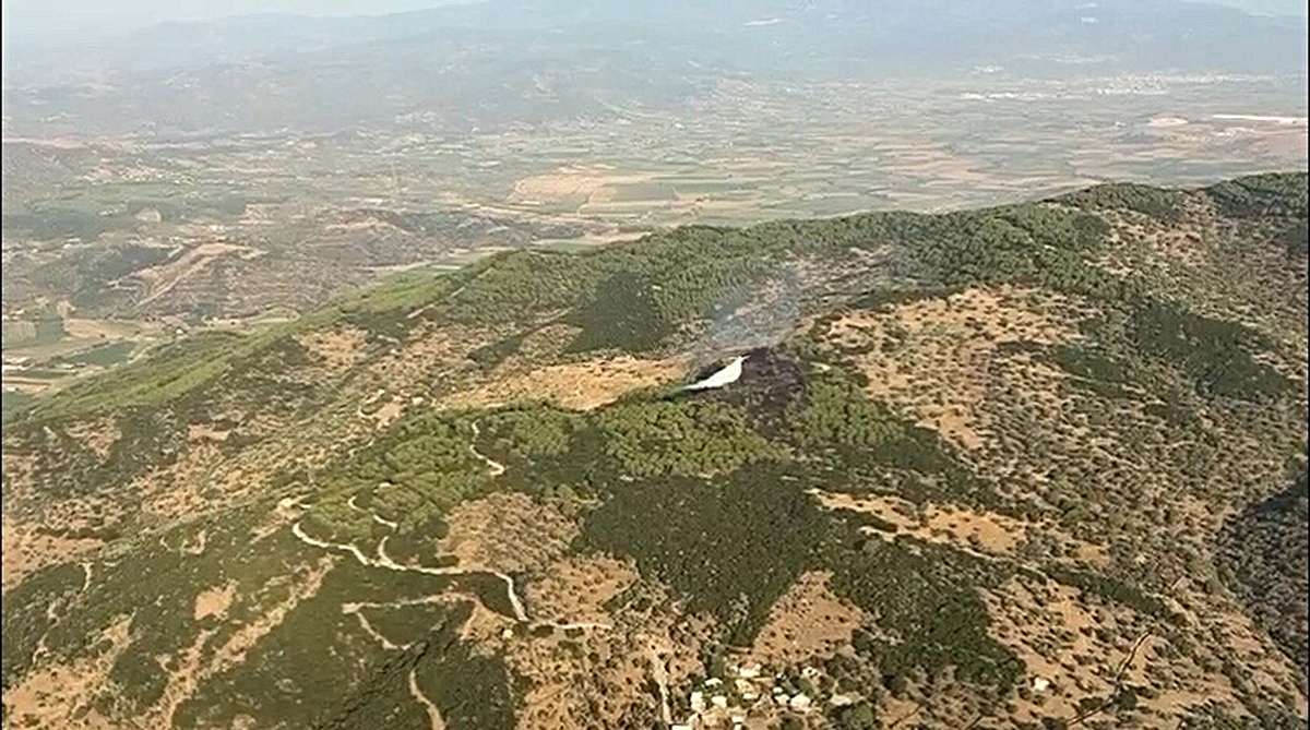 Aydın Çine'de orman yangını havadan ve karadan müdahaleyle 2 saatte söndürüldü