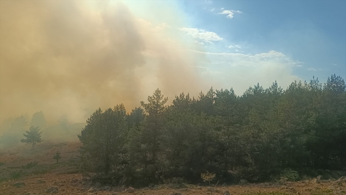 Bolu Gerede\'de otluk alandan ormana sıçrayan yangını söndürme çalışmaları sürüyor