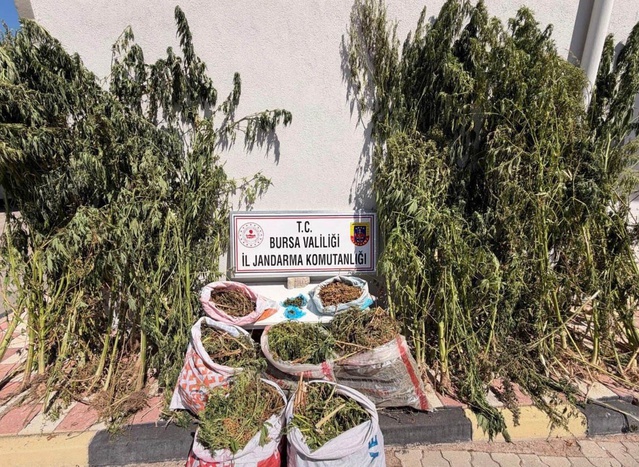 Karacabey'deki uyuşturucu operasyonunda 22 kilo kubar esrar ele geçirildi