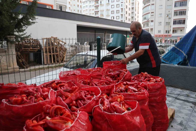 Adana Kozan'da salça sezonu başladı, damlar kırmızıya büründü