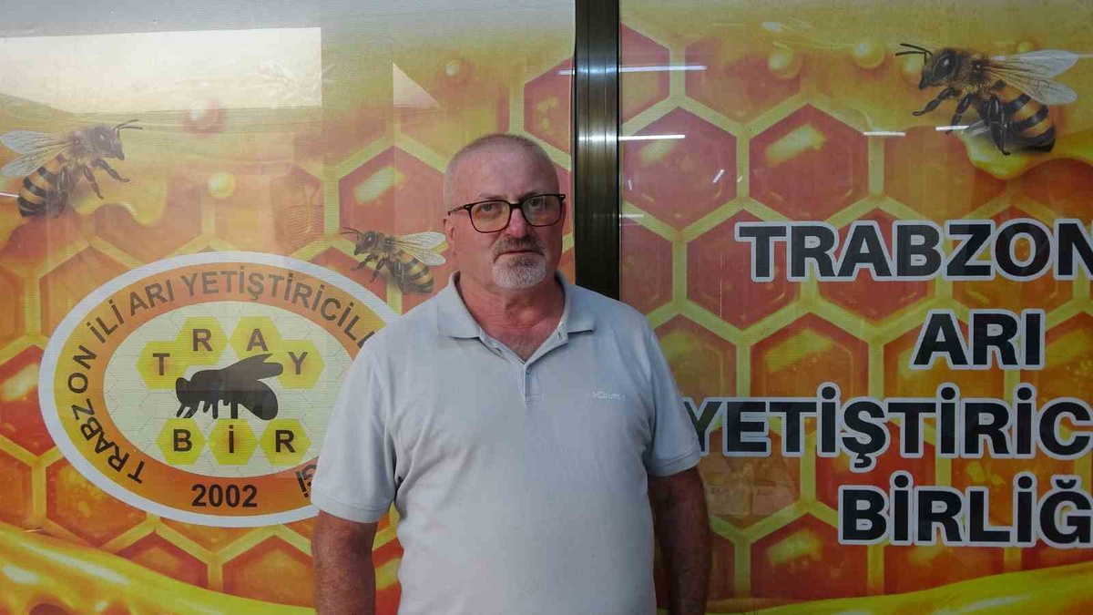 Doğu Karadeniz'de yağışlı hava kestane balını vurdu; arıcılar 10-15 kilo hasatla yetindi