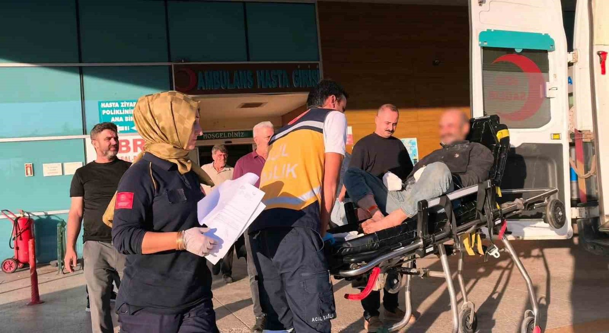 Orman işçisinin 6 parmağı koptu