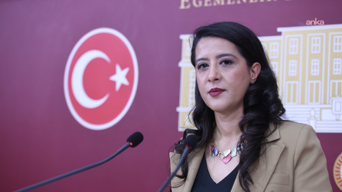 EMEP'li Karaca'dan Filo Jet faciası için Meclis'e soru önergesi