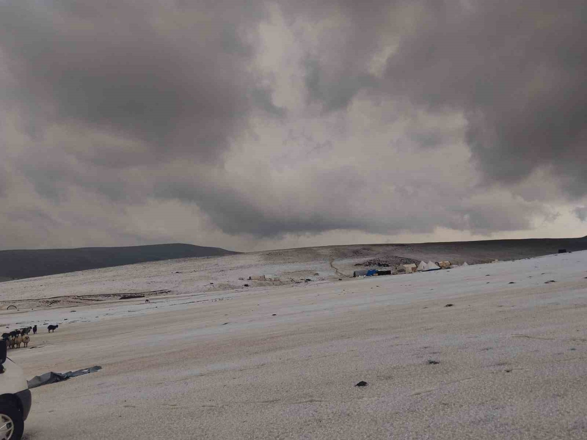 Erzincan yaylalarında dolu ve sağanak tulum peyniri üreticilerinin çadırlarını su bastı