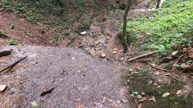 Ordu'nun Kumru ilçesinde fındık toplarken uçuruma düşen 56 yaşındaki İsa Öğme hayatını kaybetti