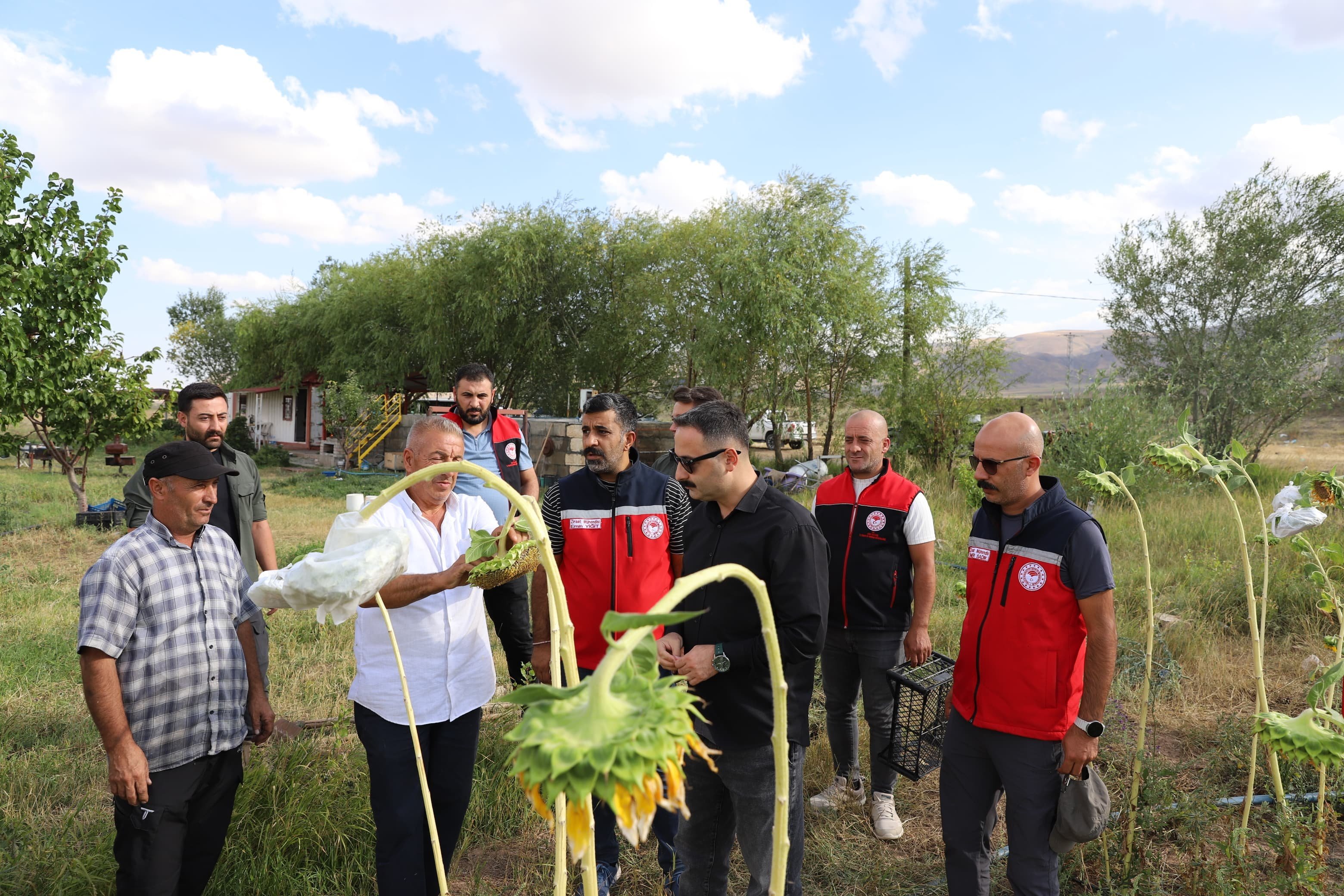 Ağrı Doğubayazıt'ta Kaymakam Ayvat, Ağrı Dağı kampını ve sebze hasadını inceledi