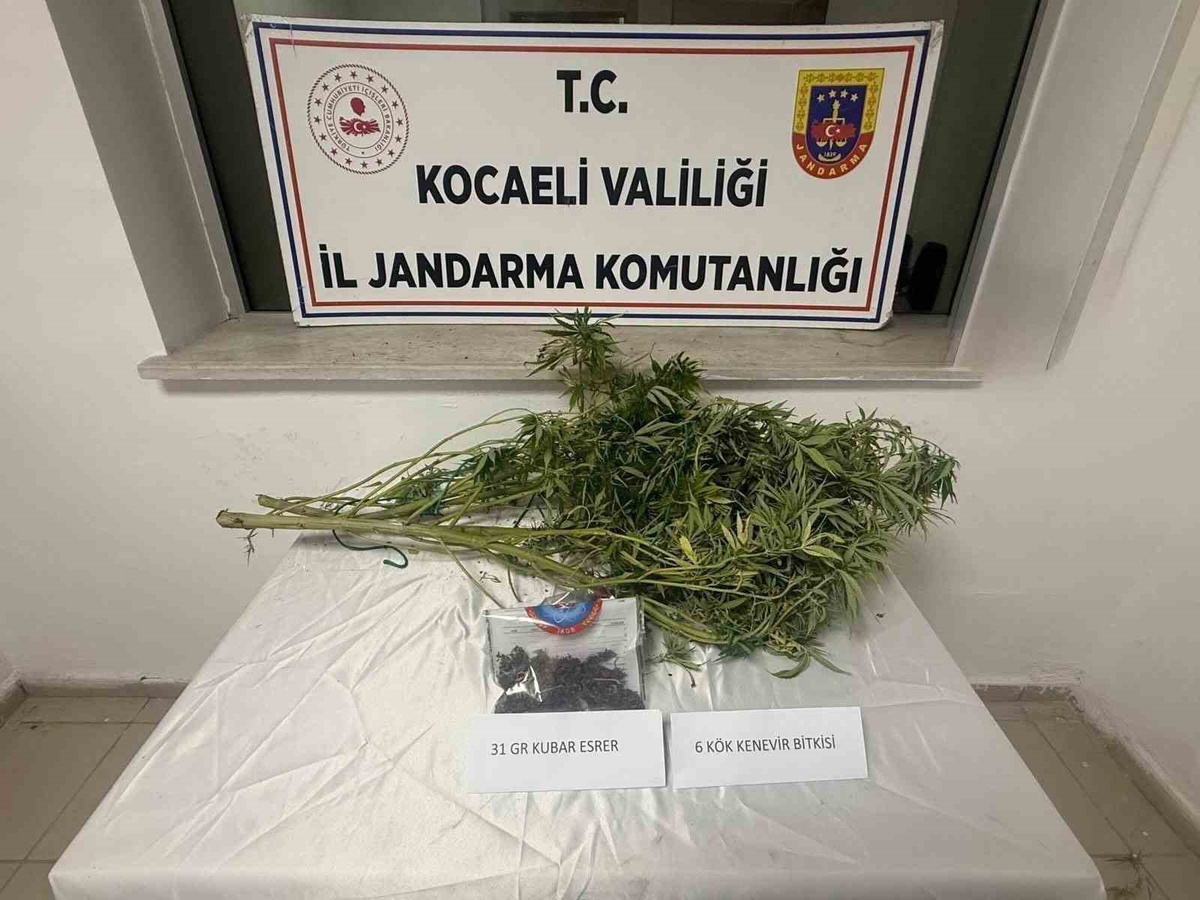 Kocaeli İzmit'te jandarmadan uyuşturucu operasyonu, 2 şüpheli hakkında işlem başlatıldı