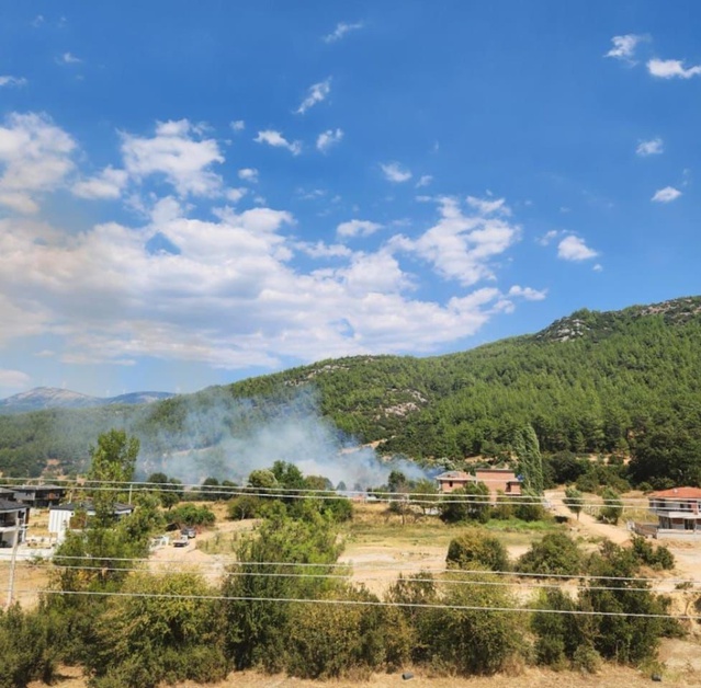 Muğla Menteşe'de otluk alanda yangın çıktı, ekipler alevlere müdahale ediyor