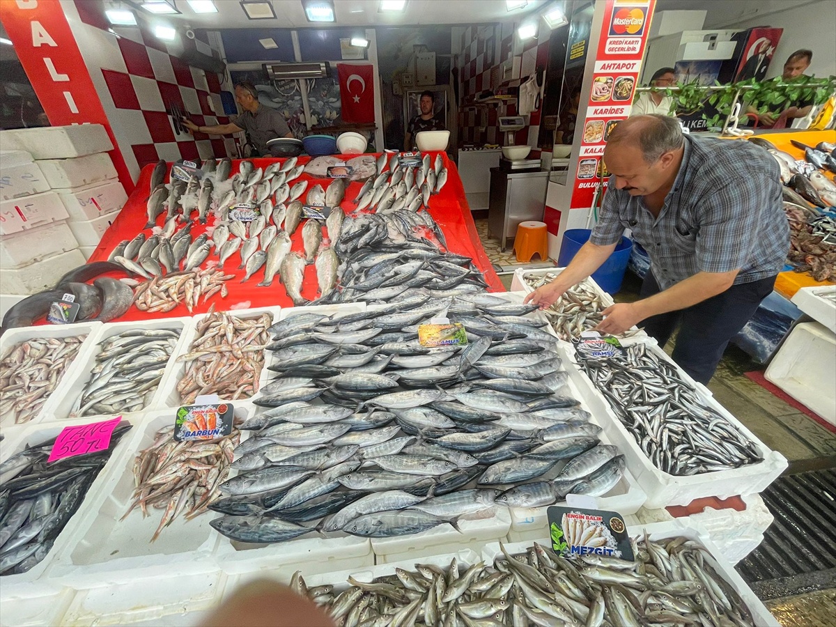 Karadeniz\'de palamut bolluğu tezgahları şenlendirdi, fiyatlar 30 ila 100 lira arasında