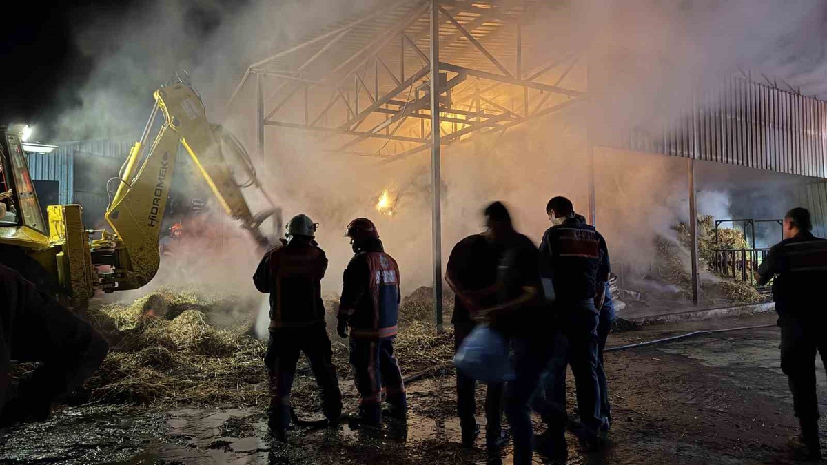 Adapazarı'nda samanlık yangınında binlerce balya kül oldu, 4 kişi etkilendi