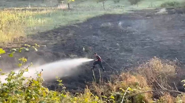 Sakarya Kaynarca'da kontrolsüz yakılan ateş otluk alana sıçradı, 4 dönüm zarar gördü