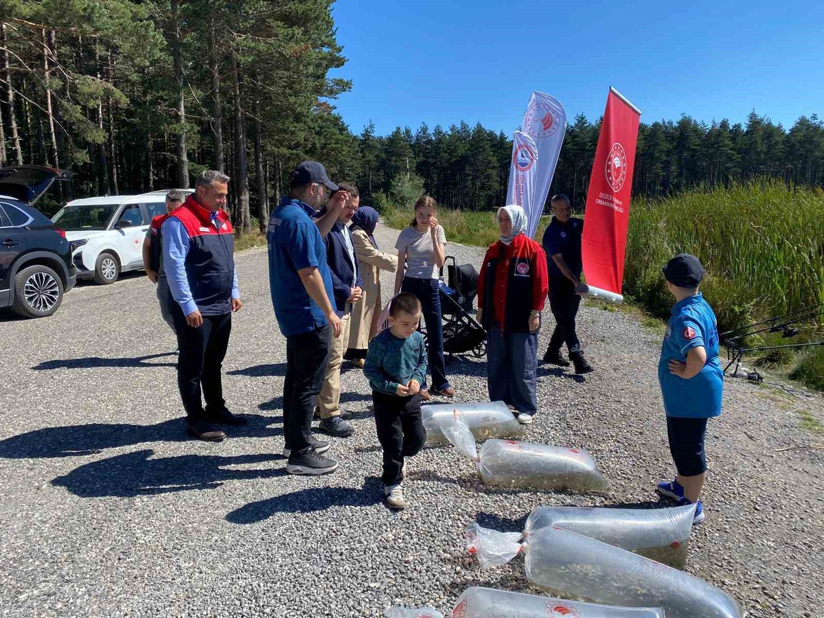 Düzce Kaynaşlı'da Topuk Yaylası Göleti'ne 25 bin sazan yavrusu bırakıldı
