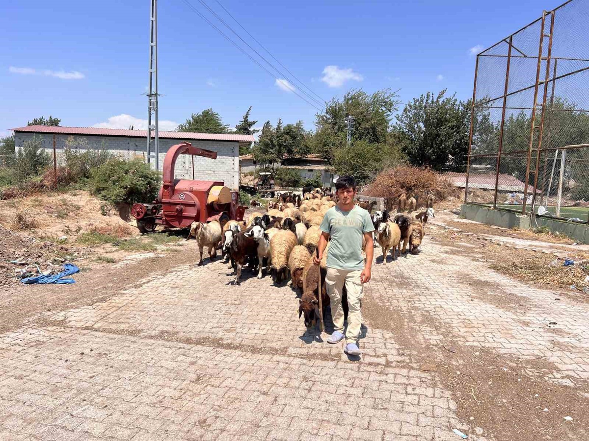 Hatay'da Suriyeli gence ikamet cezası; Barut ailesi yardım istedi