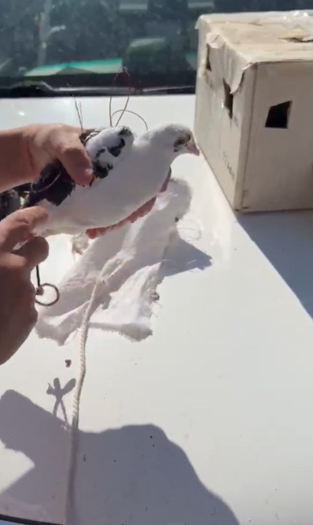 Van Muradiye'de drone ile yasa dışı kuş avcısı yakalandı, para cezası kesildi