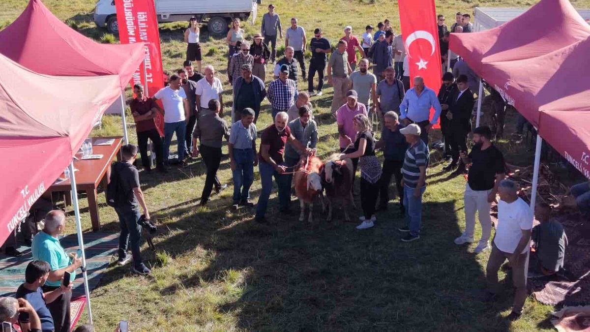Tunceli'de 57 yıl sonra ilk: Ferhat Çayırı Yaylası'na vali ziyareti