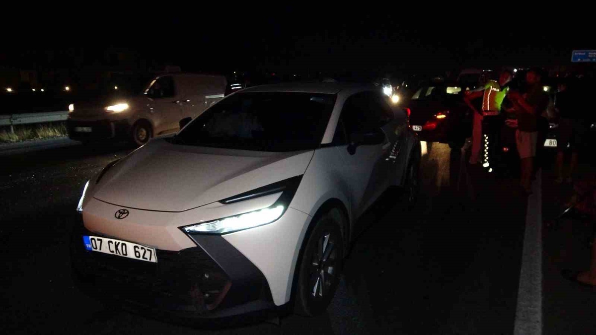 Antalya Manavgat'ta köpek yola fırladı, 6 araç zincirleme kaza yaptı, yaralanan yok