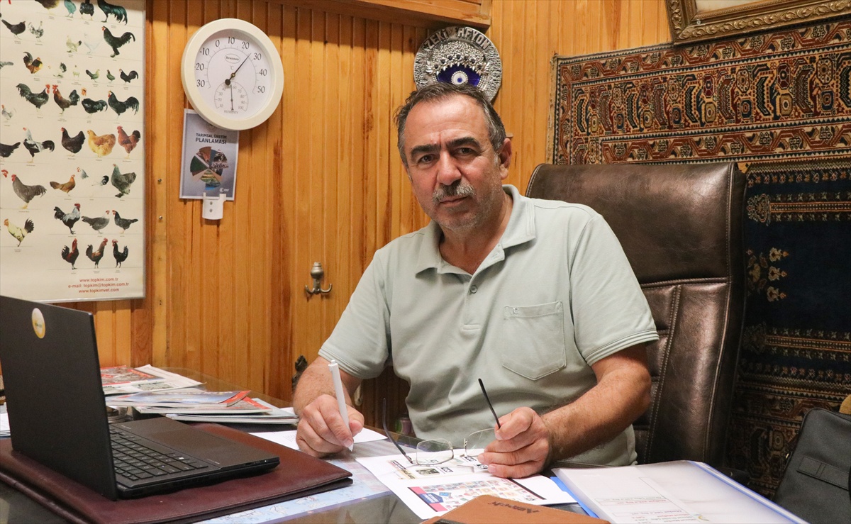 Yumurta Üreticileri Birliği Başkanı: Arz-talep dengesi nedeniyle fiyatlarda artış beklemiyoruz
