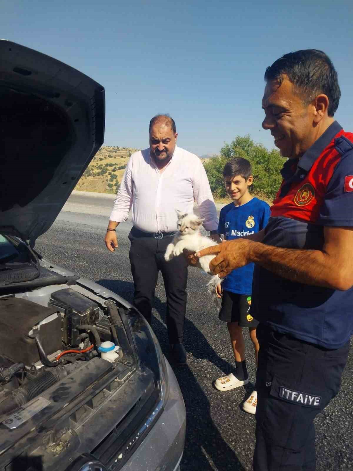 Adıyaman Besni'de otomobilin motoruna sıkışan kedi itfaiyenin çalışmasıyla kurtarıldı