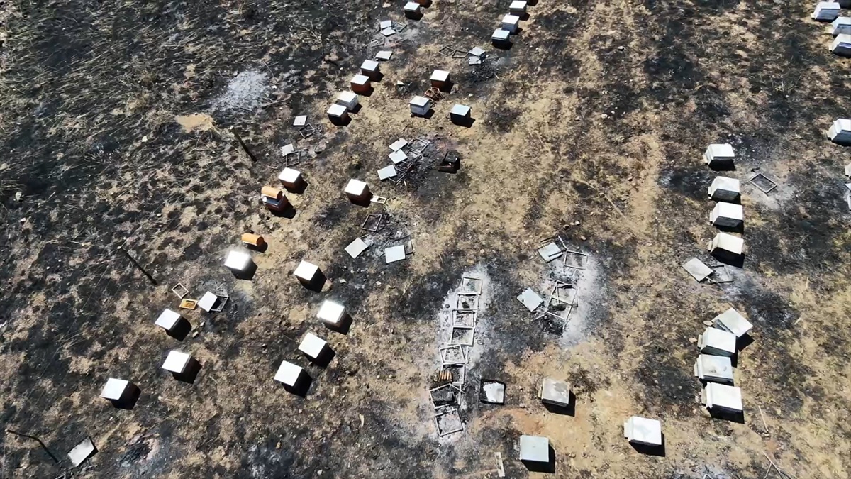 Adıyaman Gerger'de yaylada çıkan yangında 5 arıcının 150 kovanı kül oldu