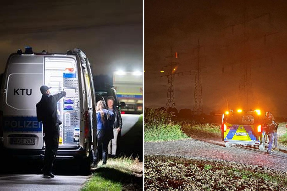 Almanya'da enerji şebekelerine yönelik sabotaşlara karşı polis alarm seviyesini yükseltti