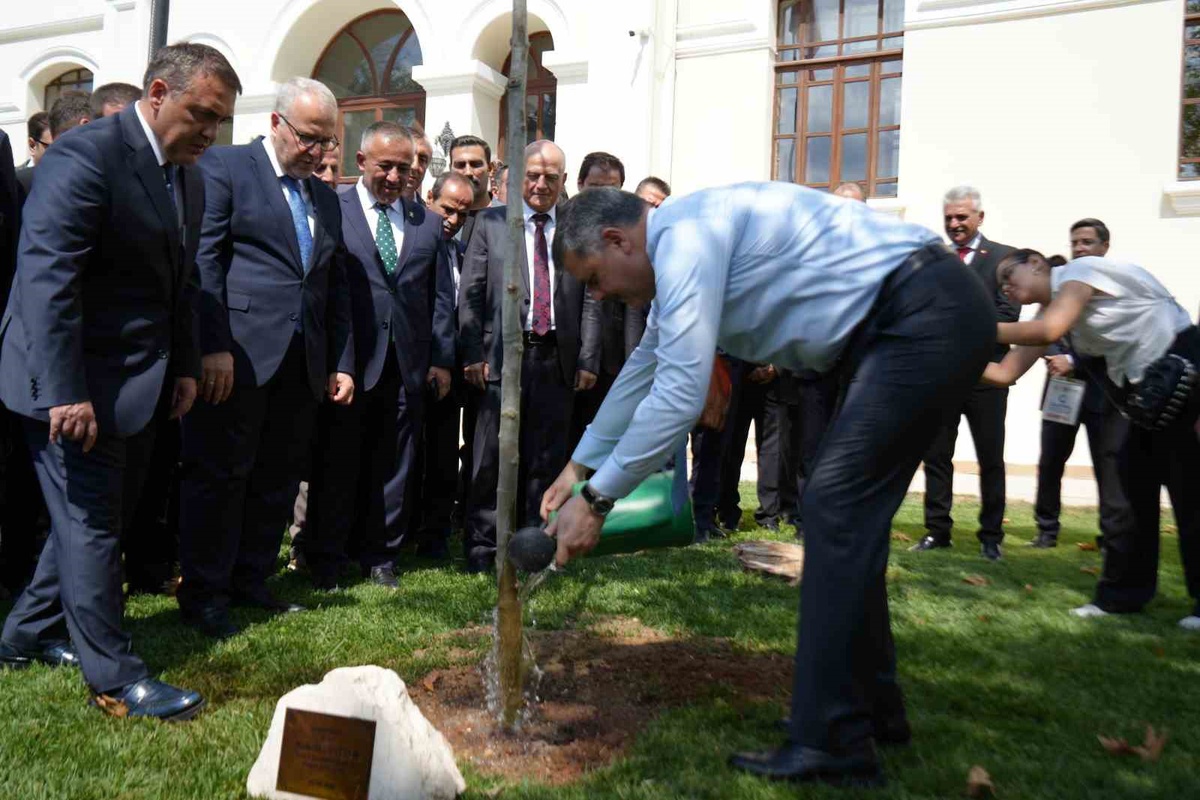 İçişleri Bakanı Mustafa Çiftçi Bilecik ziyaretinde çınar fidanı dikti