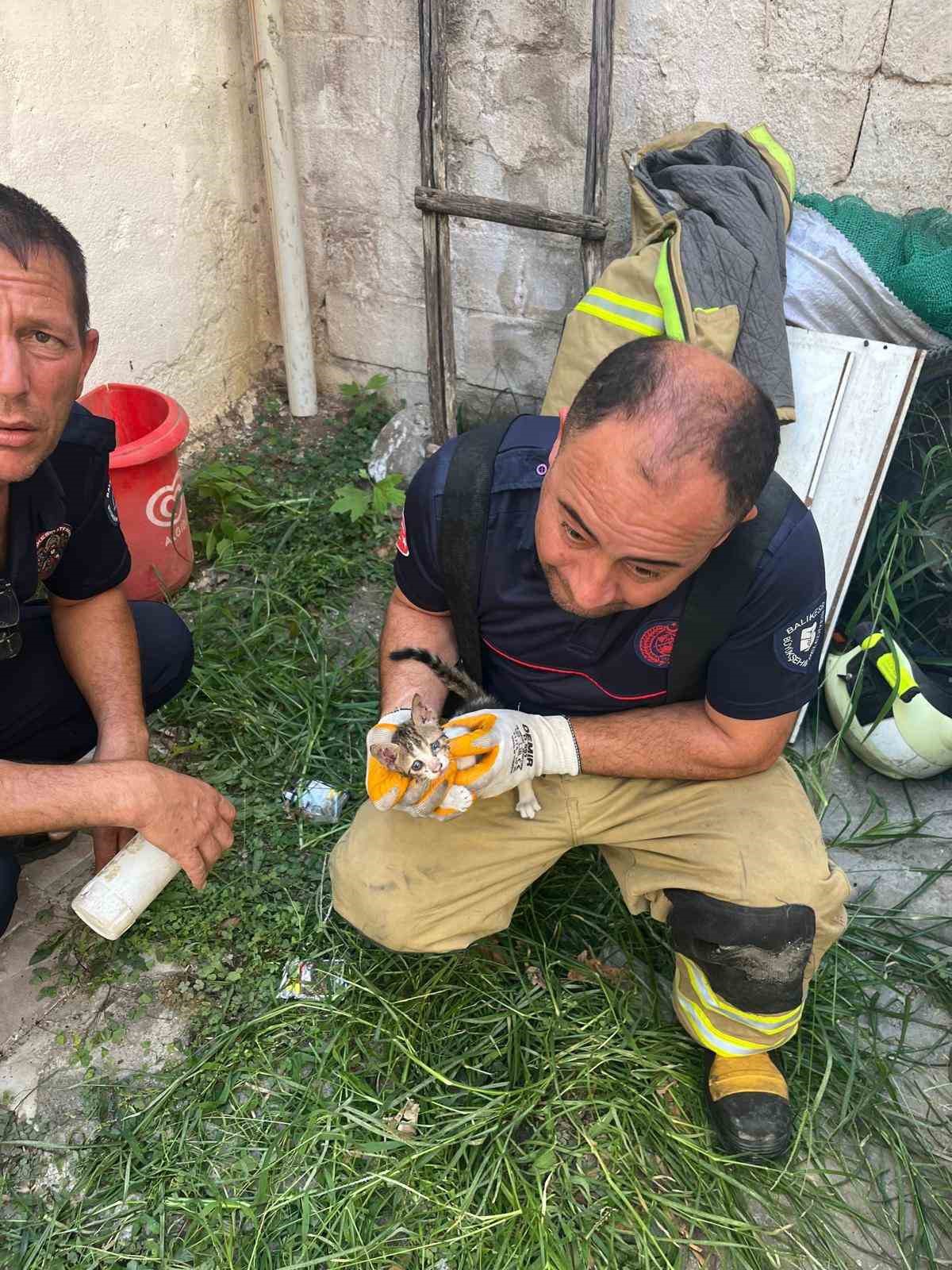 Balıkesir Erdek'te iki bina arasına sıkışan yavru kedi itfaiye ekiplerince kurtarıldı
