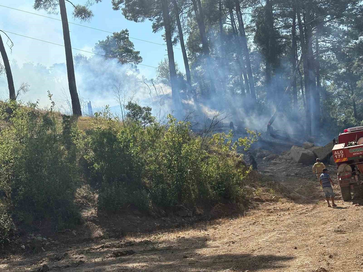 Antalya Manavgat'ta kopan enerji hattı yangında 1 dönüm ormanlık alan kül oldu
