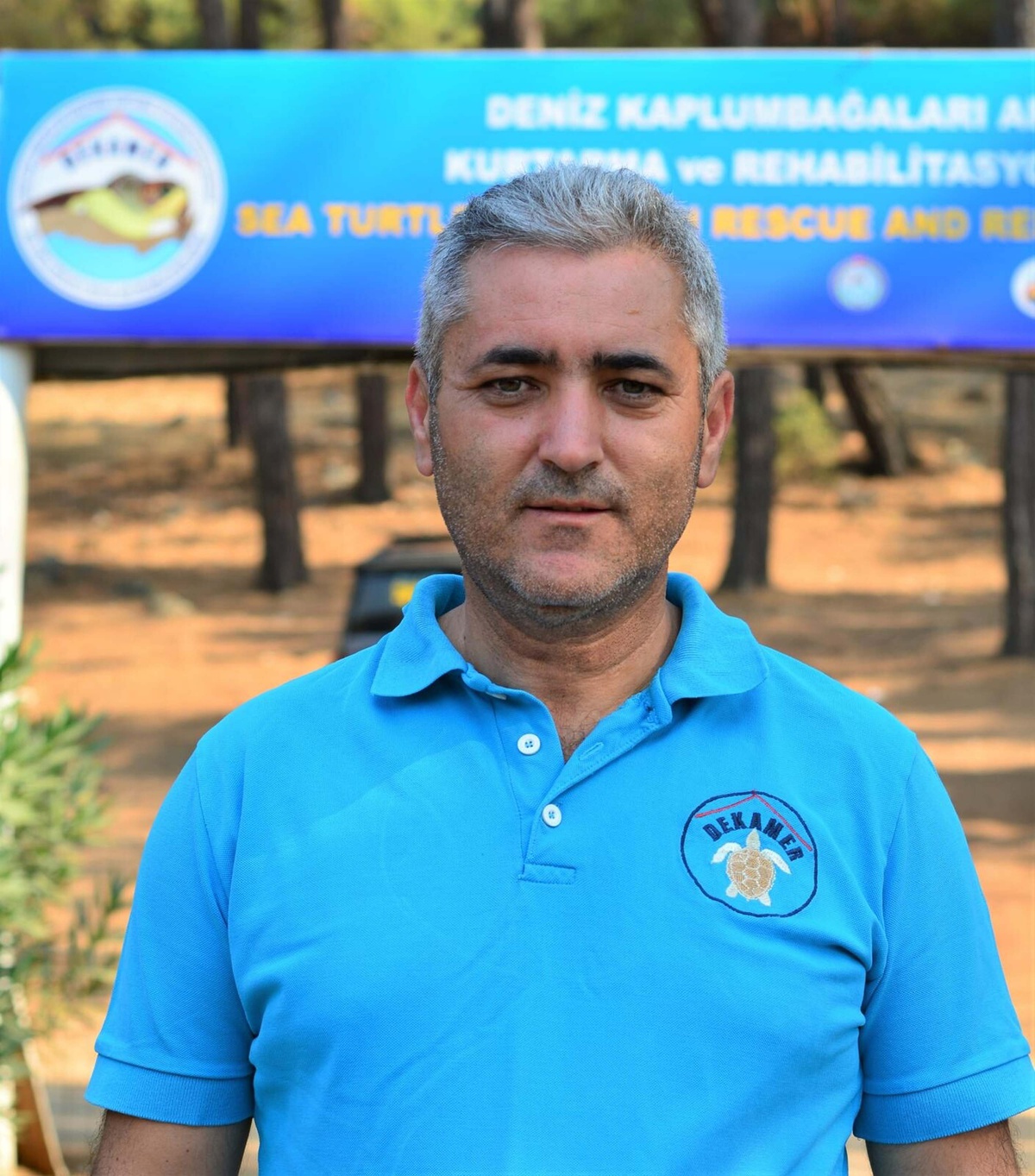 Bodrum'da caretta caretta yavruları denize ulaşırken görüntülendi, DEKAMER uyardı