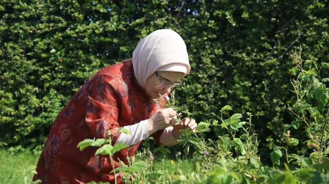 Emine Erdoğan'dan Botanik Bahçesi'ne ziyaret 