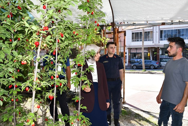 Gümüşhacıköy Kaymakamı Büşra Güneş esnafı ziyaret edip talep ve önerileri dinledi