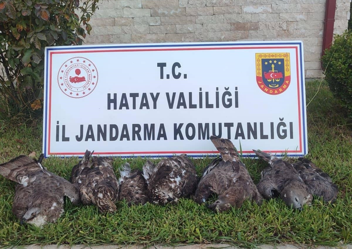 Hatay Antakya'da arı şahini avlayan kişiye 1 milyon 330 bin lira ceza kesildi