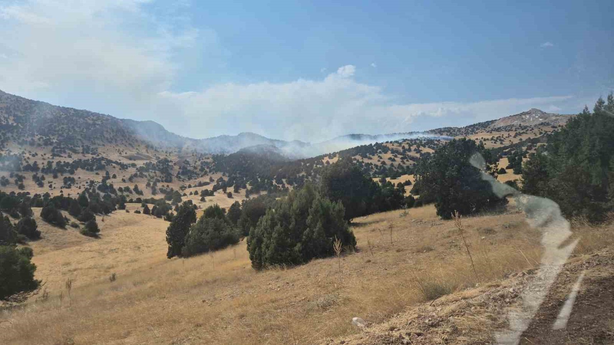 Isparta Yalvaç'ta ardıç ormanında yangın 6 saatte söndürüldü