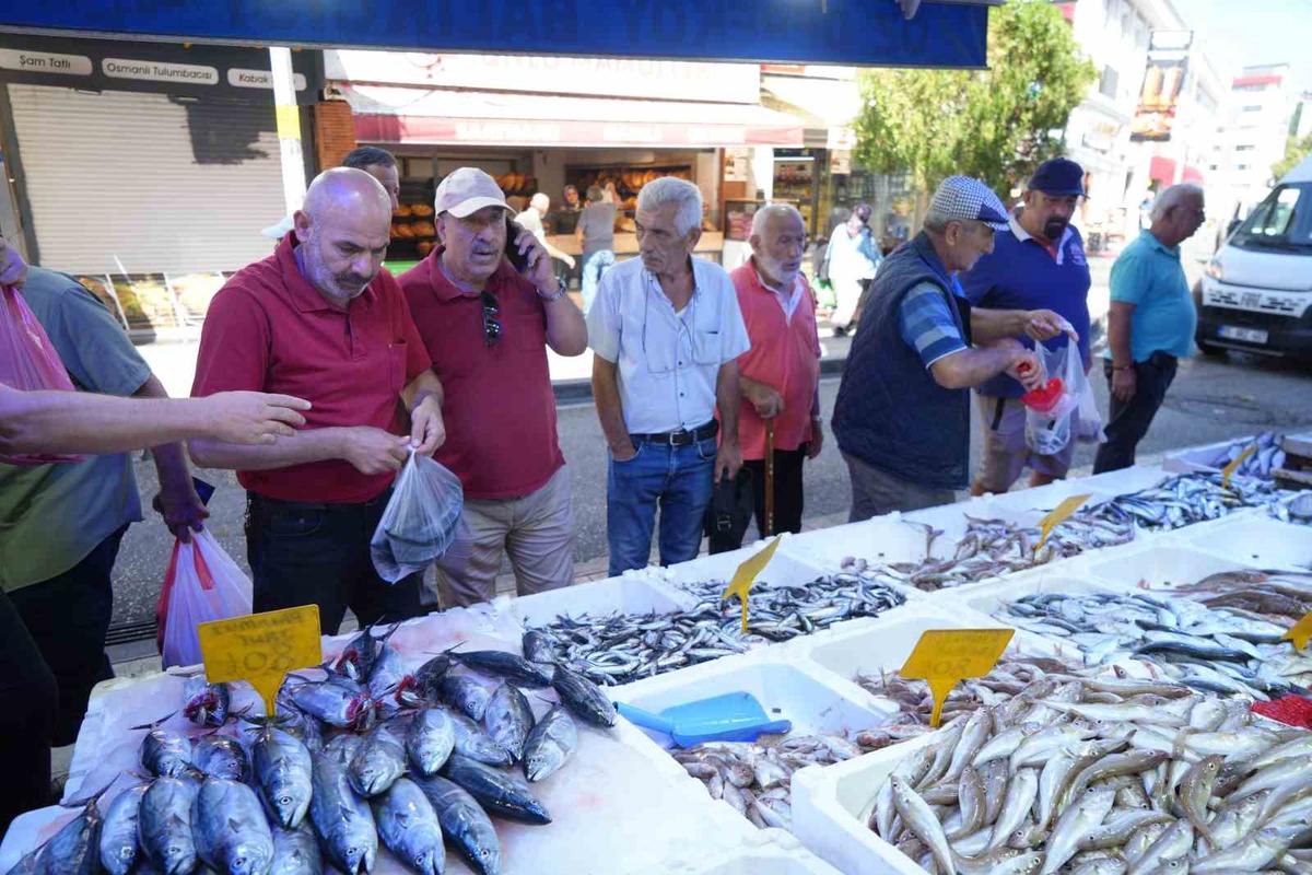 Samsun'da palamut bolluğu fiyatları düşürdü, tanesi 80 TL'den satılıyor