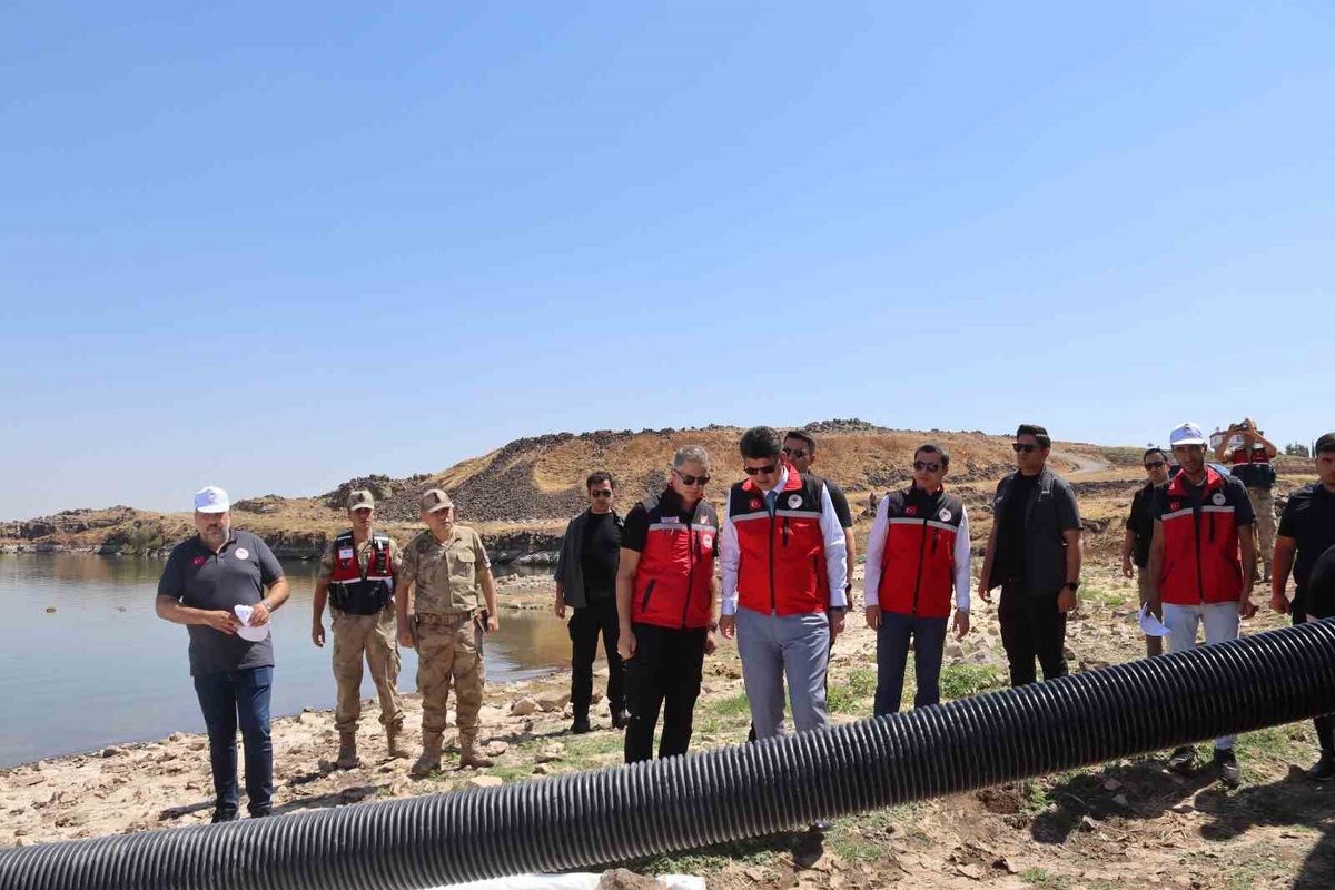 Kilis'teki göletlere 600 bin sazan yavrusu bırakıldı