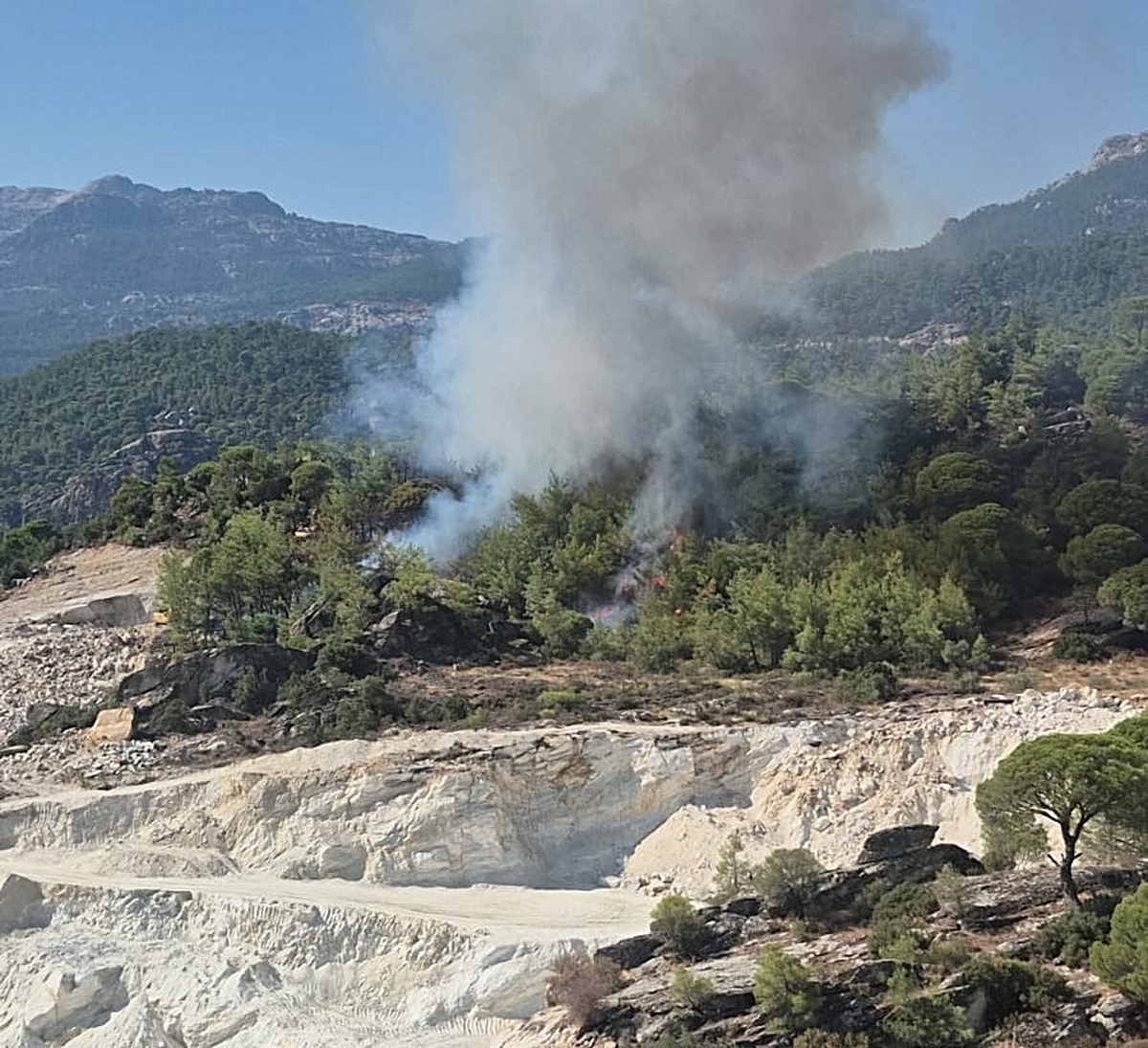 Milas Kayabükü'nde orman yangınına havadan ve karadan müdahale sürüyor