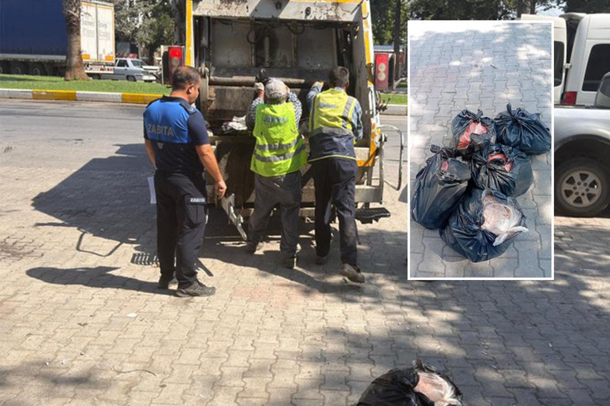 Yakalanmasa vatandaşa yedireceklerdi! Ekipler gözlerine inanamadı