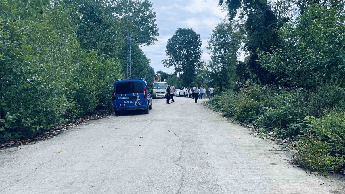 Samsun'da fındık bahçesinde elektrik akımına kapılan hayvanı kurtarmak isteyen 2 kişi yaralandı
