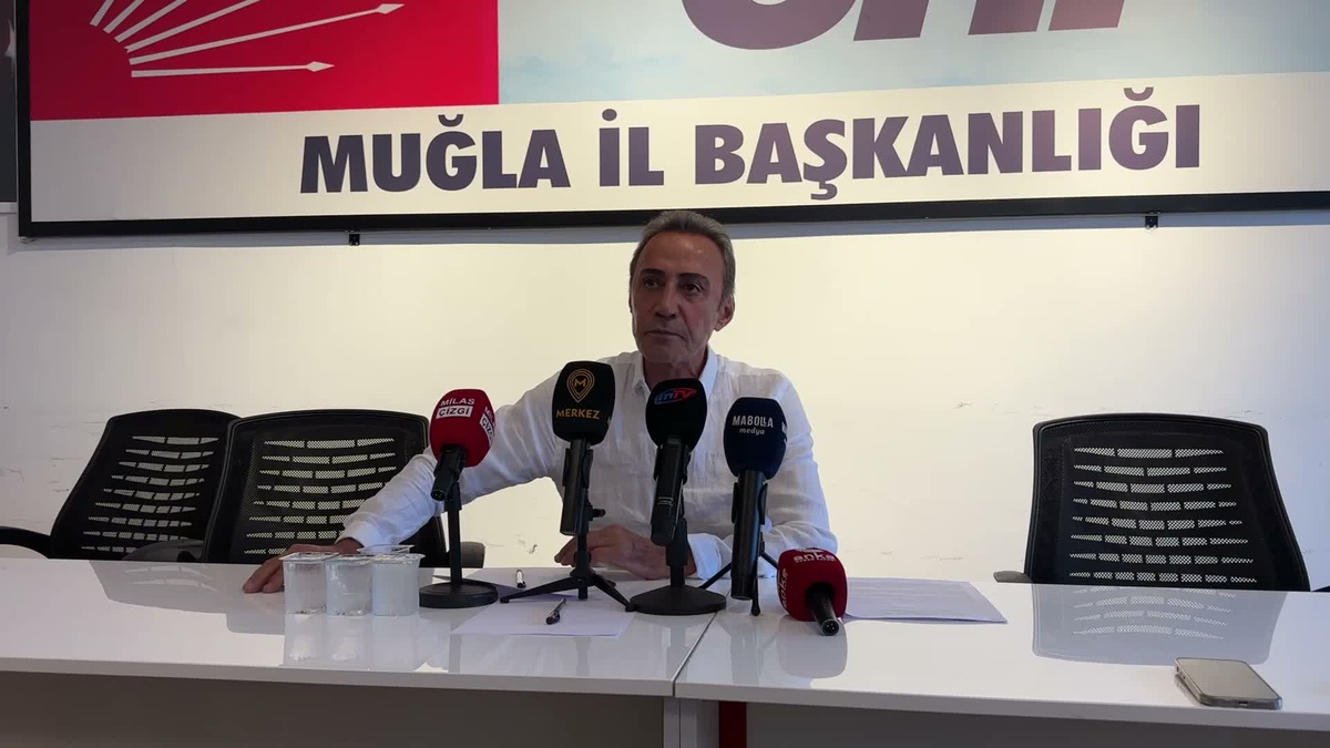 CHP'li Berhan Şimşek, şiddet iddiaları sonrası MYK üyeliğinden istifa etti