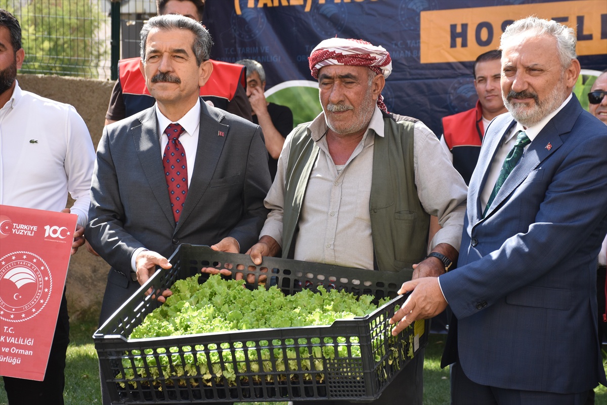 Şırnak'ta 17 üreticiye 152 bin 784 hibe destekli kışlık sebze fidesi dağıtıldı
