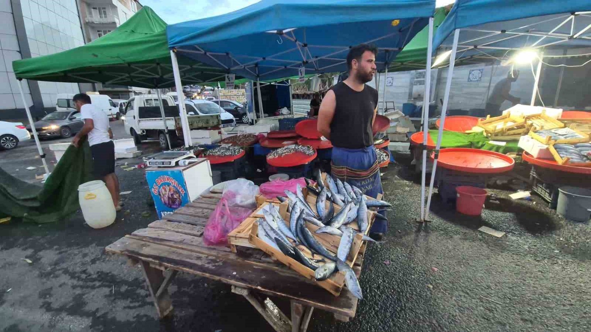 Tekirdağ'da palamut bolluğu vatandaşın yüzünü güldürdü, tanesi 75 liraya düştü