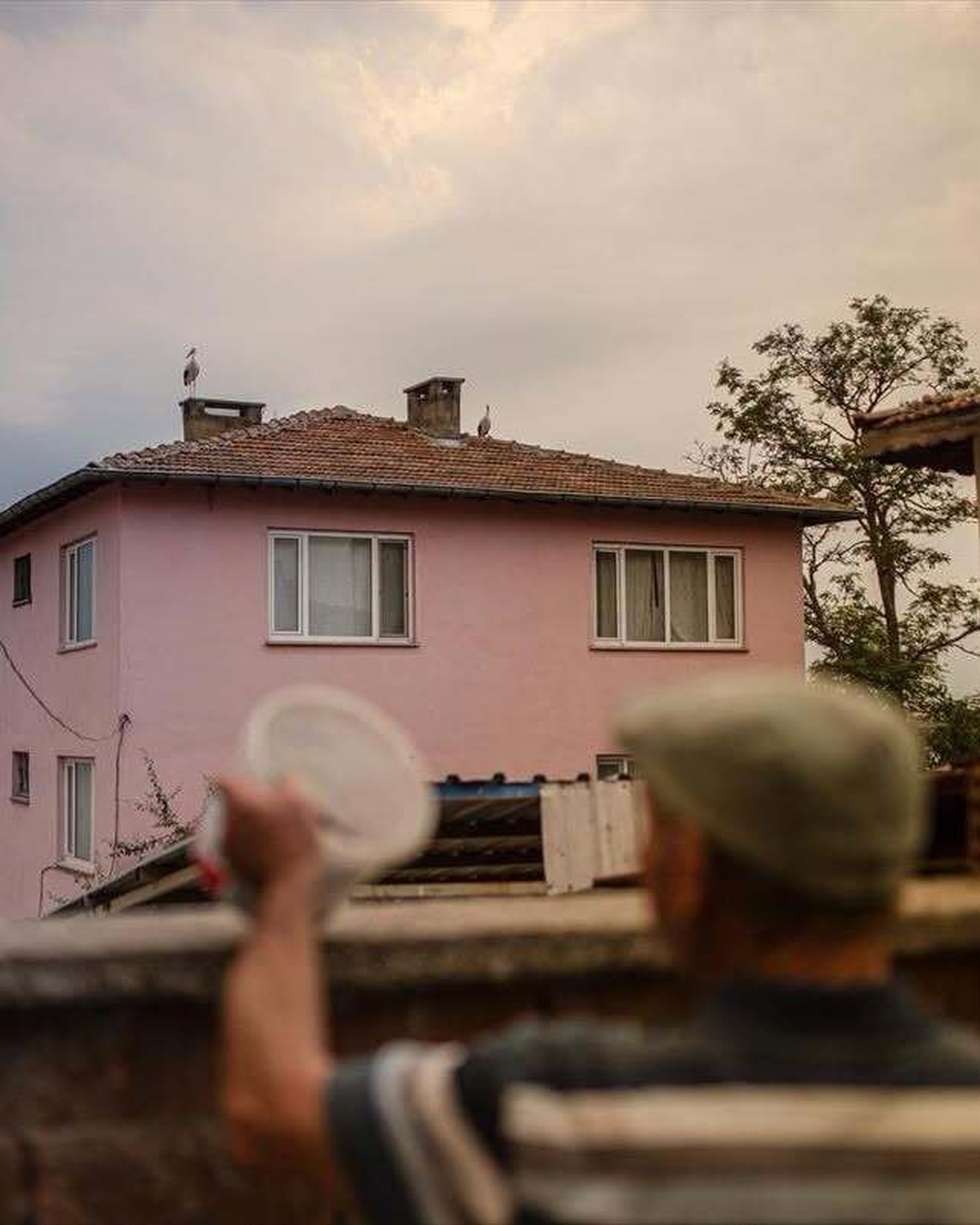 Yaren Leylek ile Eşi Nazlı, Bursa'daki Yuvalarından Göç Yolculuğuna Çıktı