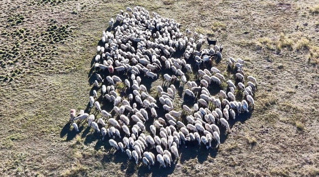 Geçen yıl 130 bindi, şimdi 150 bin TL! Talip olan yok