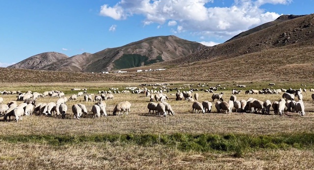Geçen yıl 130 bindi, şimdi 150 bin TL! Talip olan yok