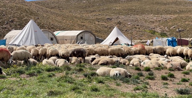 Geçen yıl 130 bindi, şimdi 150 bin TL! Talip olan yok