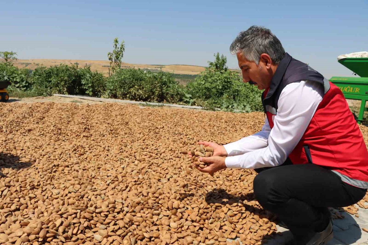 Adıyaman Kahta\'da tarımsal makine ekipmanları üreticilere teslim edildi
